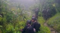 Kontak Senjata dengan KKB, 3 Anggota Satgas Belukar Dikabarkan Tertembak : Okezone Nasional